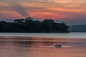 Take a boat cruise out on Lake Mburo