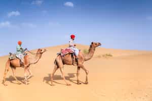 Go on a camel safari in the Thar Desert