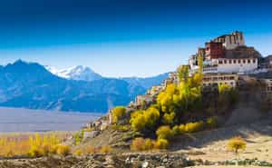 Take a heritage walk through the Old Town of Leh