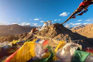 Visit the Namgyal Tsemo monastery in Ladakh