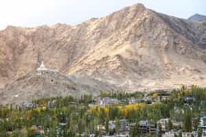 Head up to the Buddhist white-domed, Shanti Stupa