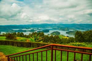 View and nature painting