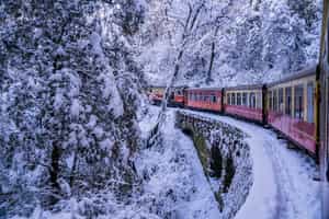Take the toy train through the Himalayan foothills