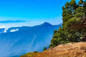 Hike through the scenic landscapes of Palani Hills