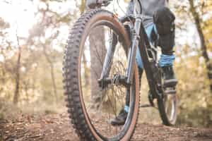 Explore Victoria Falls on a bicycle