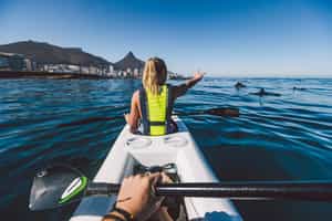 Kayak next to dolphins at Cape Town's Waterfront