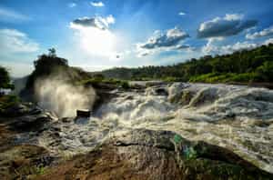 Go on a guided nature walk in Murchison Falls