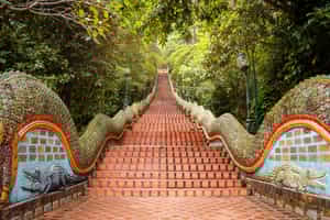 Walk up the Doi Suthep Temple stairs in Chiang Mai