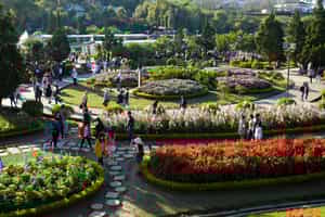 Take a walking tour through Dalat Flower Park
