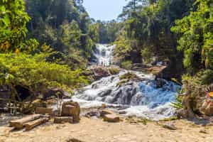 Take in the views of Datanla Waterfall 