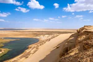 Take a day trip out to Fayoum desert