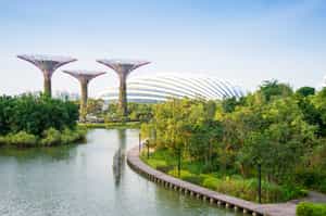 Explore the iconic Gardens by the Bay, Singapore