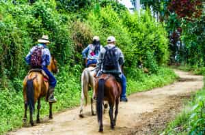 Explore the sites of San Agustin on horseback