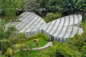 See butterflies on a tour of the botanical gardens