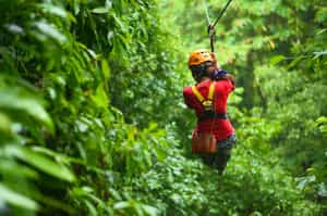 Enjoy the unique landscape on a zip line