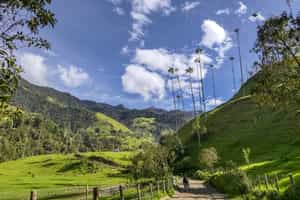 Take in the views on a hike in the Cocora Valley