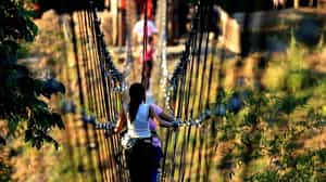 Visit the agricultural theme park, Panaca Park
