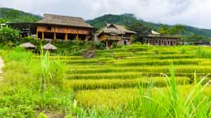 Meet locals on a village visit in Pu Luong