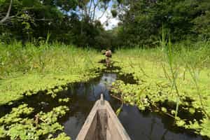Canoe to the island of Mocagua in Amacayacu 