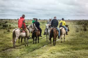 Explore the savannahs of San Pablo on horseback