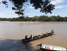 Go on a boating safari down the Cravo Sur River