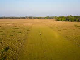 Run along Los Llanos' tropical forest paths