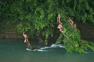 Meet the locals on a cultural village visit 