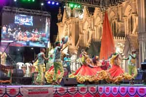 Learn about Coqui's history at Bohío de Saberes