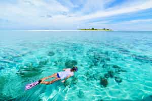 Go snorkeling in the Corals National Natural Park