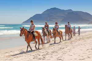 Explore the beaches of Barú on horseback