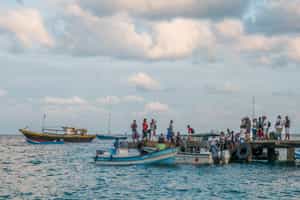 Go fishing with local fishermen in Barú