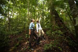 Go on a guided journey on the Fundo Casual trail