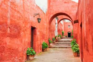 Walk through Santa Catalina Monastery in Arequipa