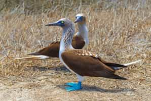 Visit the San Cristóbal Interpretation Center