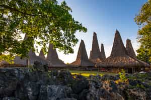 See the villages' sweeping roofs in Sumba Island
