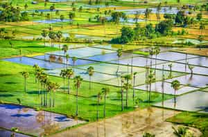 Take a cultural tour of Waingapu, Sumba