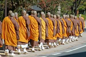 Witness an early morning chanting of monks in Koya