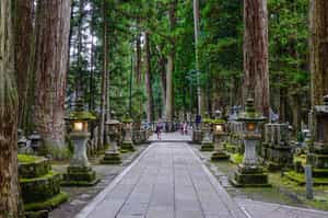 Take a walking tour through Okunoin Cemetery, Koya