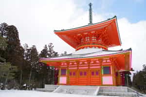 Explore the Danjo Garan temple complex in Koya