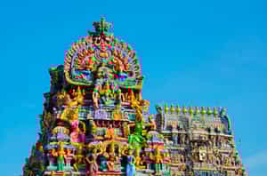 Take a tour of Mylapore's temples & museums