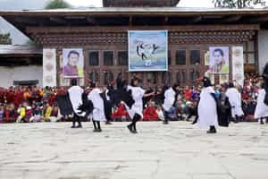Experience Gangtey's Black Necked Crane festival
