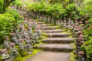 Explore Miyajima Island on a walking tour 