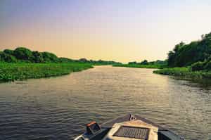 Go on a boating safari in Northern Pantanal