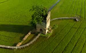 Go on a Hoi An Morning Countryside tour from Da Nang