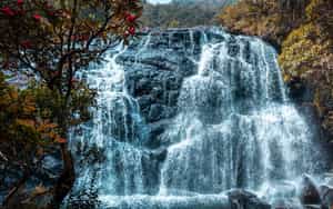 Adventure into Horton Plains National Park