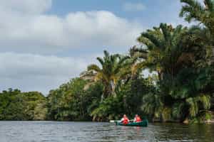 Take a canoe trip along the Kosi lake system