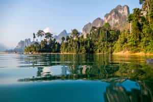 Explore Khao Sok National Park from Khao Lak 