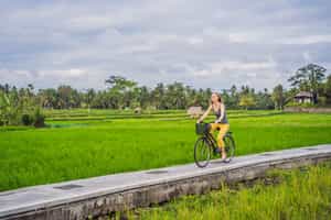 Explore Ubud’s picturesque landscapes on a bike