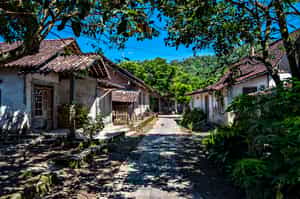 Visit the peaceful village of Candirejo