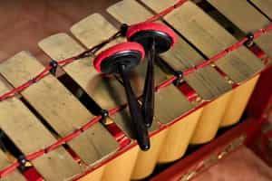 Learn how to play a traditional music instrument